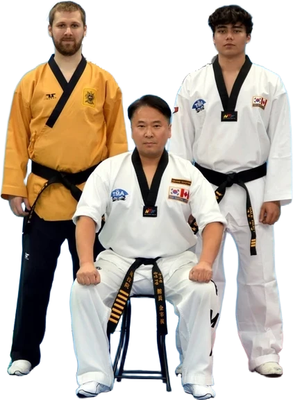 Adult Taekwondo (15+) class